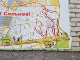Челябинские активисты ОНФ выявили нарушения при выборочных рубках в Чебаркуле