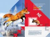 Из печати вышли имиджевые календари   Российского инстутута радионавигации и времени на 2013 год