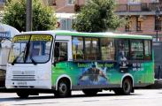 Автобусы Петербурга показали велнес со всех сторон