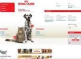 Promo Interactive представляет сайт Royal-Canin.ru – место встречи профессионалов и любителей собак и кошек