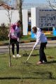 В Парке Победы были высажены деревья в память о ветеранах Великой Отечественной войны