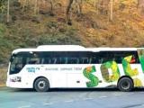«Нью-Тон» укрыл лоскутным одеялом Олимпийские автобусы
