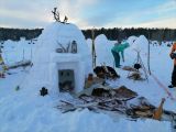 Город эскимосов построили в Новосибирске