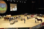 Приглашаем на саммит животноводства в Клермон-Ферран 3-5 октября 2012