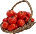 Импортные томаты и кабачки с опасным вредителем отправлены на утилизацию