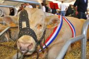 Приглашаем на саммит животноводства в Клермон-Ферран 3-5 октября 2012