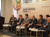 Компания KASTAMONU выступила за интенсификацию развития деревообрабатывающей отрасли в России