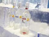 Finlandia Vodka партнер Ukrainian Fashion Week сезону весна/літо 2014 р.