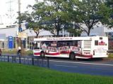 Реклама на автобусах ПТК укрепляет народную любовь к Посиделкино