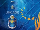 HEINEKEN запустил рекламную кампанию пива Tiger