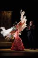 XVII Международный Фестиваль Фламенко «Viva Espana!»-  от профессионалов к любителям.