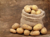«Лавка Петербург» предлагает желающим посадить картофель выведенный в НИИ.