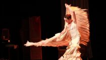 XVII Международный Фестиваль Фламенко «Viva España!» - самое яркое событие этой осени.