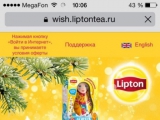 Компания Unilever и агентство Initiative запустили новогоднюю кампанию в московском метрополитене в поддержку уникальной коллекции новогодних матрешек бренда Lipton