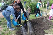 Сотрудники Ростовского ЭРЗ посадили аллею в честь 150-летия завода