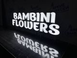 Bambini Flowers анализ франшизы и отзывы тех кто купил.