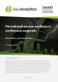 Анализ  российского рынка колбасы и колбасных изделий:  итоги 2019 г., прогноз до 2022 г.