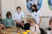 Более 300 школьников стали участниками Фестиваля науки в Алтайском ГАУ