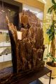 Выставка работ Александра Чеглакова  «Дыхание природы» на празднике Ту Би-Шват