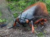«М5 Молл» подвергся нашествию гигантских насекомых