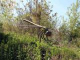 «М5 Молл» подвергся нашествию гигантских насекомых