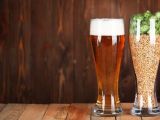 Безалкогольное пиво: феномен популярности