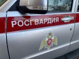 Росгвардейцы в Томске с поличным задержали похитителей алкогольной продукции из гипермаркета