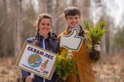 РусКлиматФонд поделился своими результатами  по восстановлению лесов за весенний сезон.
