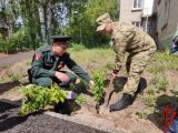 Томские росгвардейцы присоединились к международной патриотической акции «Сад памяти»