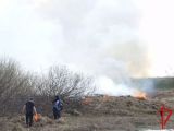 Томские росгвардейцы приняли своевременные меры к ликвидации возгораний сухой травы
